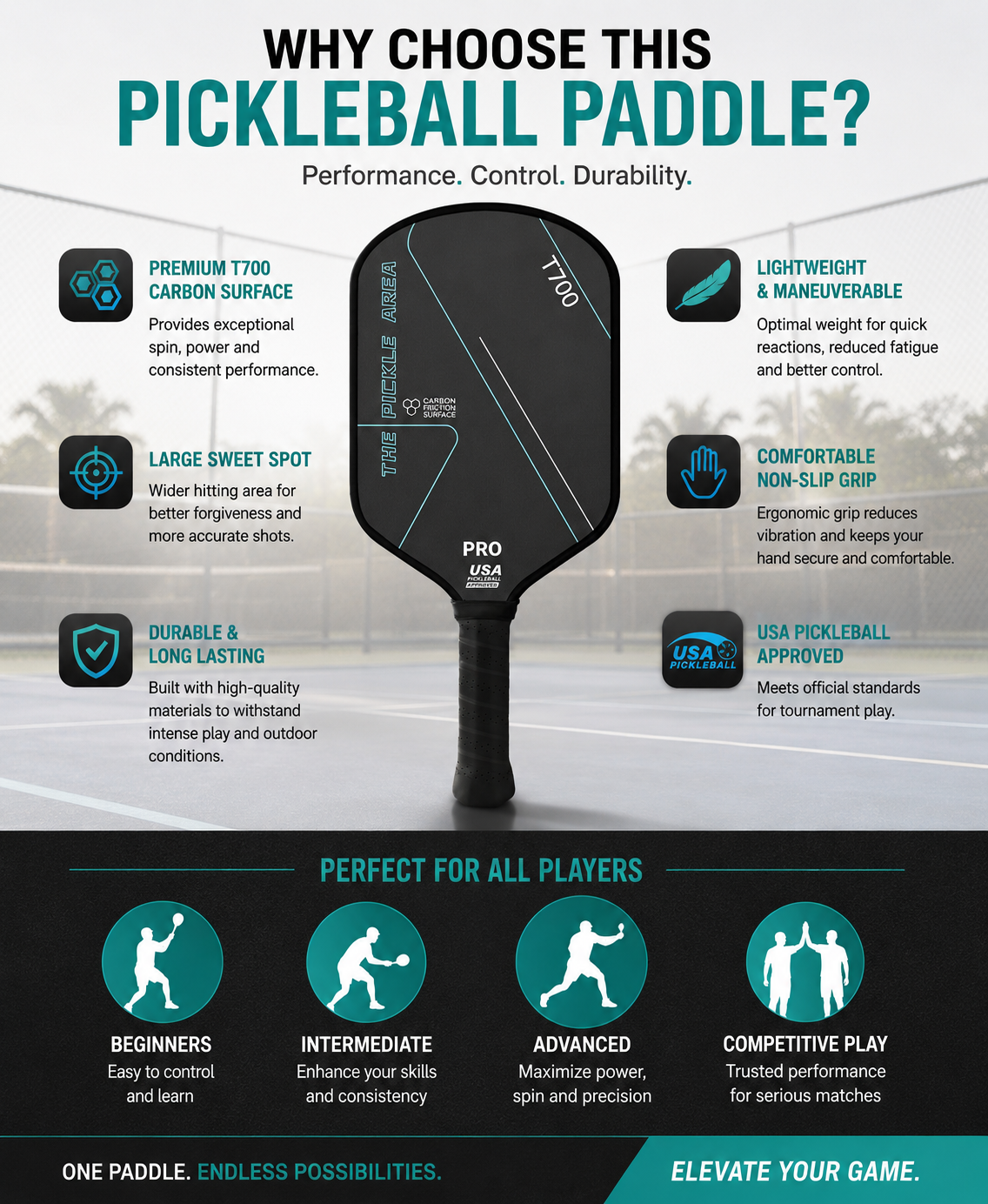 Premium Pickleball Set（2 Paddles + Balls + Bag）